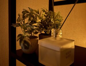 観葉植物とルームフレグランス　間接照明